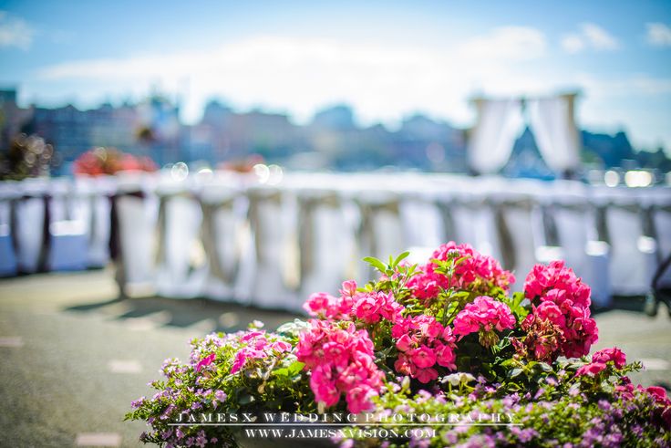 delta-james-x delta-james-x