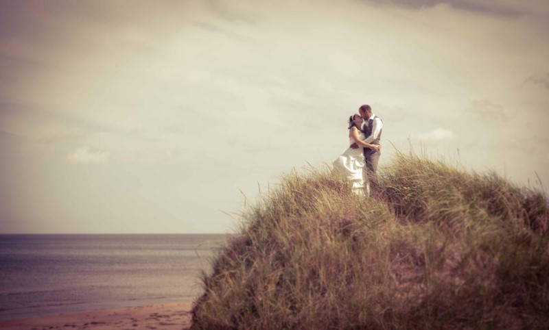 spark-and-whimsey-3 spark-and-whimsey-3