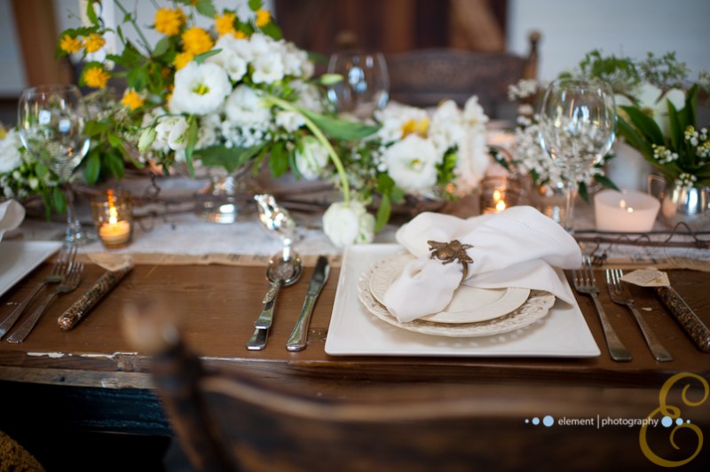 blue-lily-1 blue-lily-1