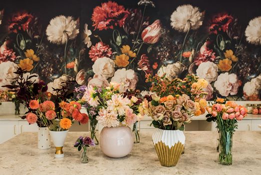 71682234_116605166412136_1092928499473186816_o