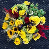 70878538_2353984828203153_9146375423699976192_o