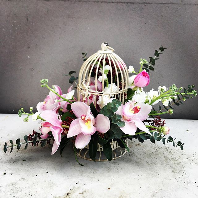 91380567_722286961942362_7797104639464674770_n