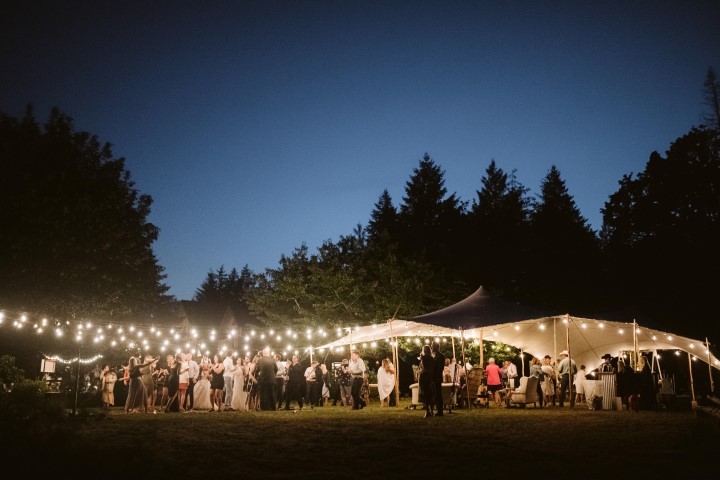 Wedding Reception under café lights in a field on Vancouver Island 