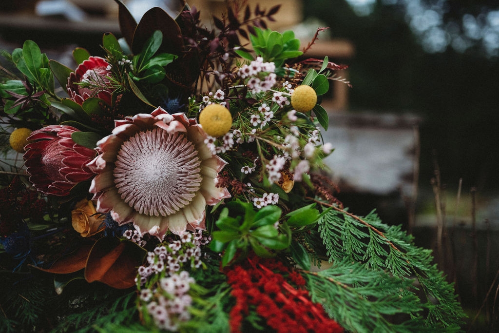 Changing Plans Anastasia Photography close up of bridal bouquet featuring protea