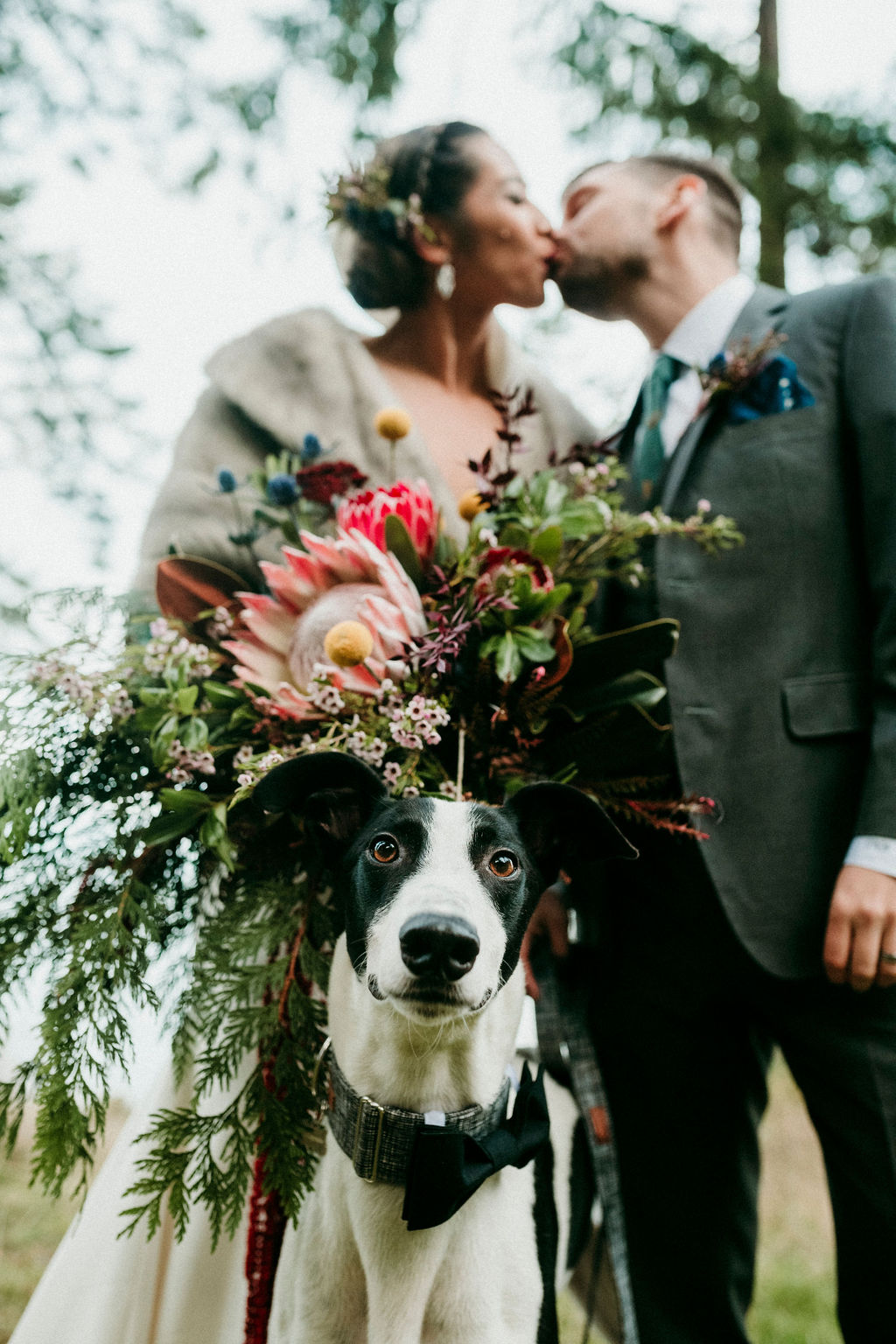 Changing Plans Anastasia Photography kissing couple and their pup