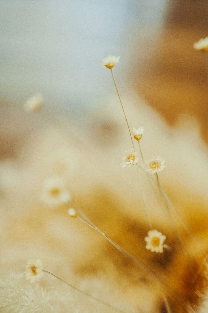 White flowers by Folk & Faerie Vancouver