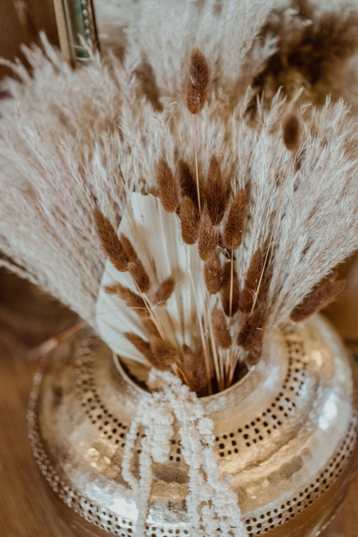 Pampas Grass in Vase by Sarah England Photography
