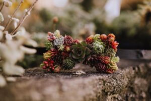 Succulent sash for wedding gown by Foxglove Flowers Victoria