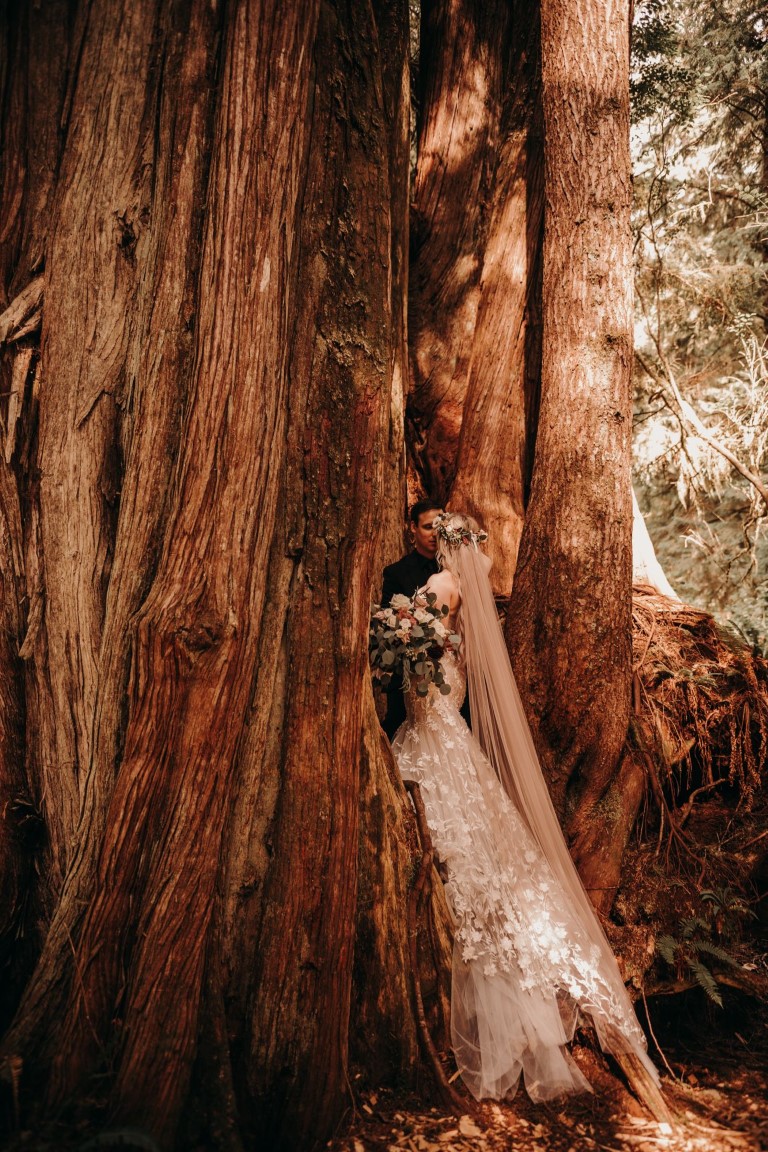 Radiant in the Redwoods Bride