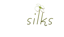 Reel-silk-logo