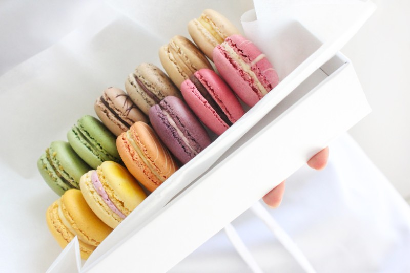 IMG_7106sm IMG_7106sm